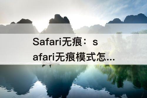 Safari无痕：safari无痕模式怎么关闭