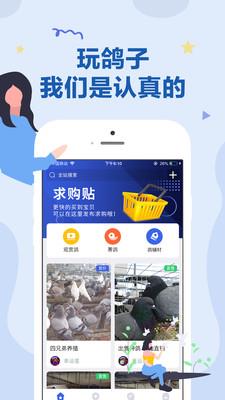 鸽市  v2.1.8图3