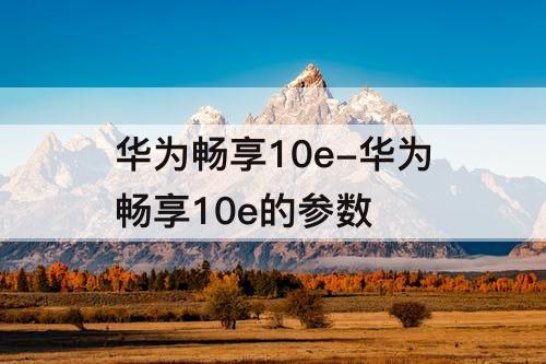 华为畅享10e-华为畅享10e的参数