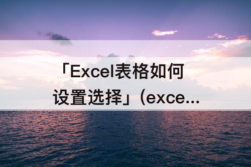 「Excel表格如何设置选择」(excel表格如何设置选择项男女)