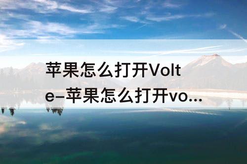 苹果怎么打开Volte-苹果怎么打开volte功能
