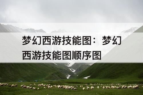 梦幻西游技能图：梦幻西游技能图顺序图