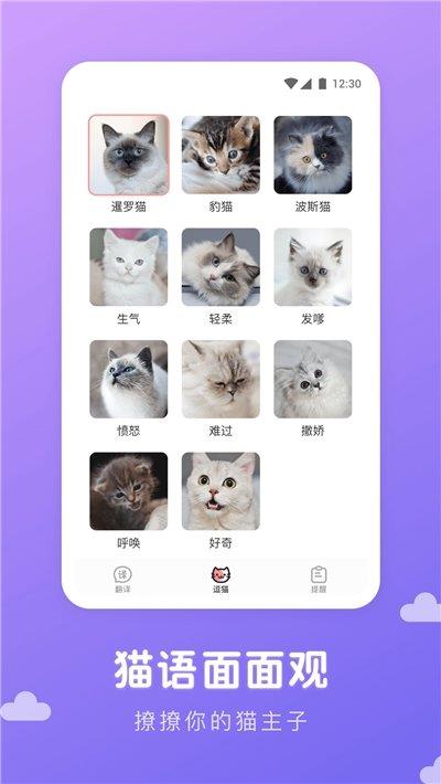 猫语翻译君  v1.0.0图2