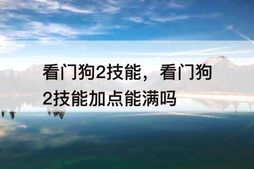 看门狗2技能，看门狗2技能加点能满吗