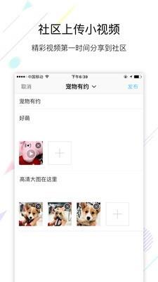 爱洛阳  v1.5.15图3