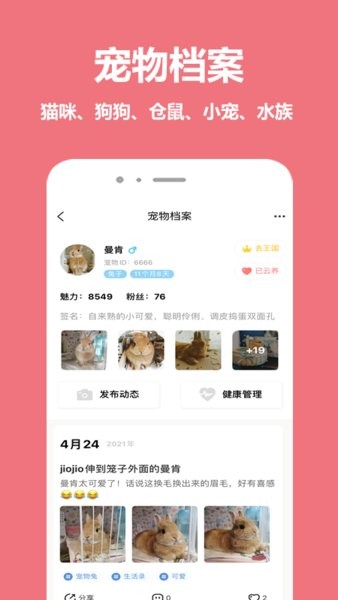 宠物王国  v1.0图1