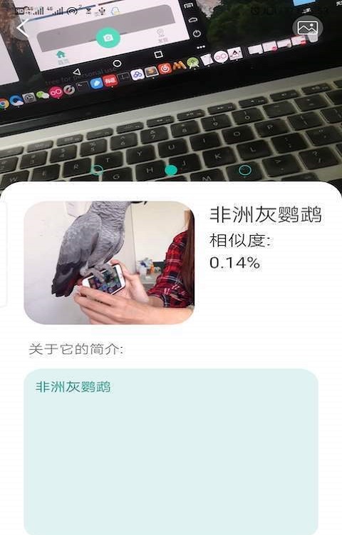 天天识别下载