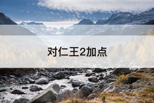 对仁王2加点
