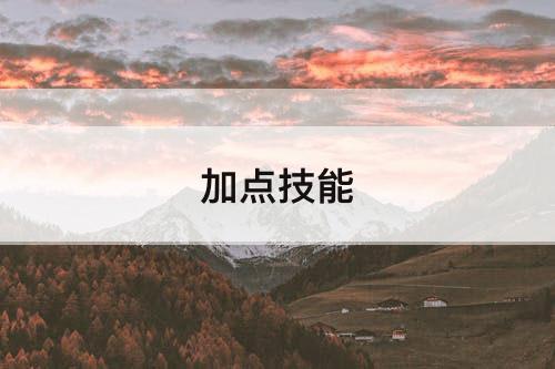 加点技能