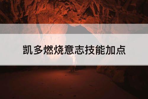 凯多燃烧意志技能加点