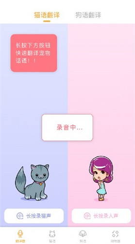 猫语翻译大师  v1.0.2图3