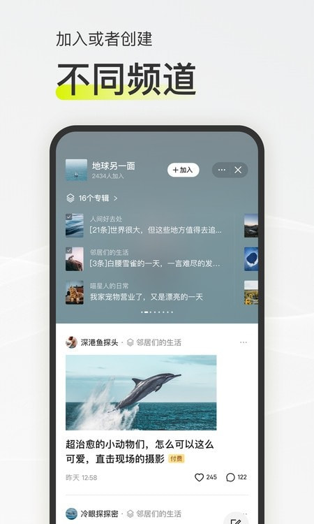 迷岛社交app