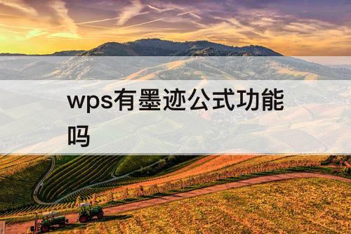 wps有墨迹公式功能吗