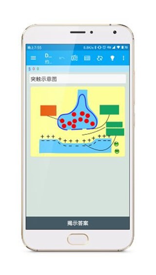 Anki涂鸦制卡2024  v1.2.1图1