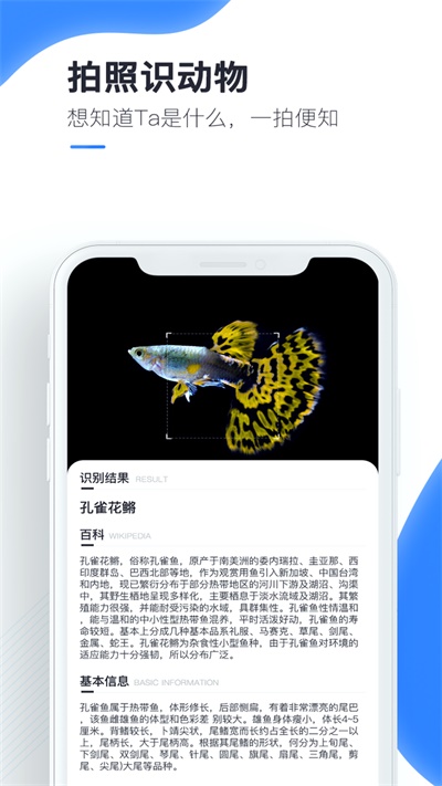 百科扫描王官方版下载安装免费苹果  v1.0.0图1