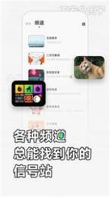 软仆2024  v1.0图3