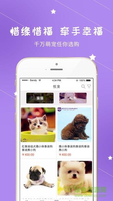 遇宠阁  v1.81图3