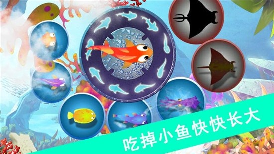 鯊魚(yú)風(fēng)暴  v1.1.5圖2