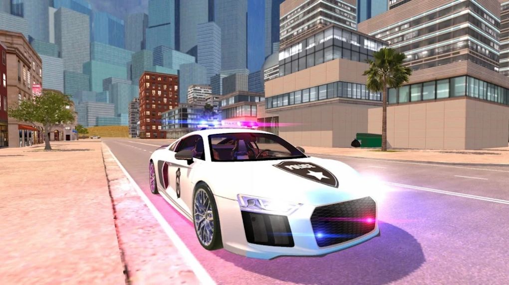 R8警察模拟器2021  v1.2图2