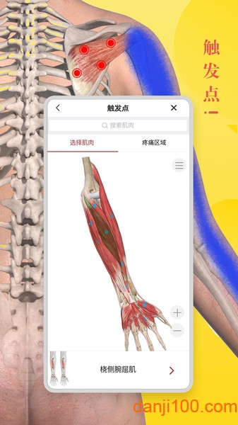 3Dbody解剖学  v8.7.51图2