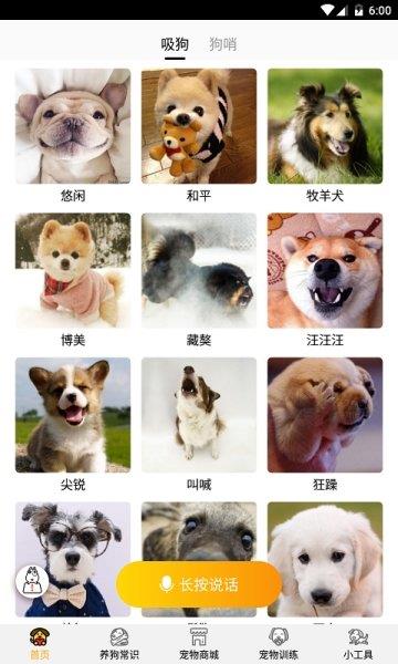 跑狗翻译  v1.1.6图2