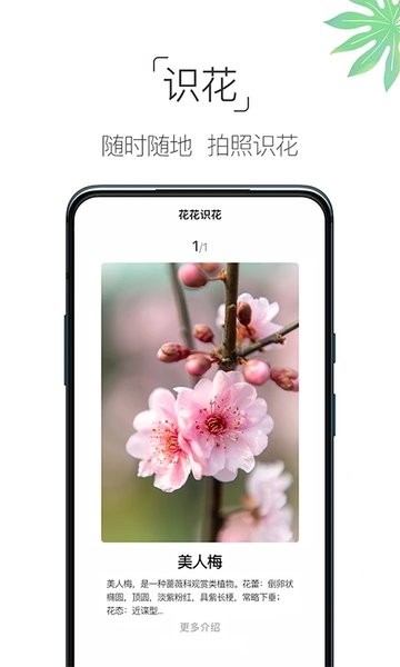 养花大全  v4.3.4图3