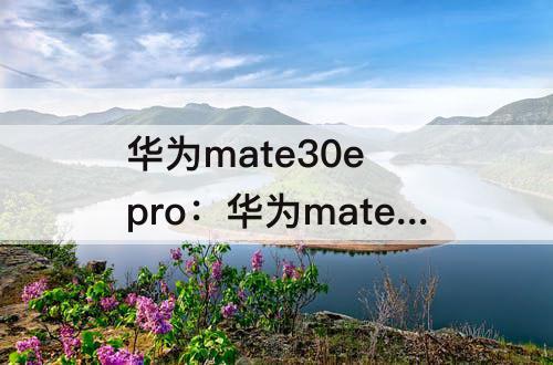 华为mate30e pro：华为mate30e pro像素密度