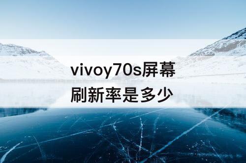 vivoy70s屏幕刷新率是多少