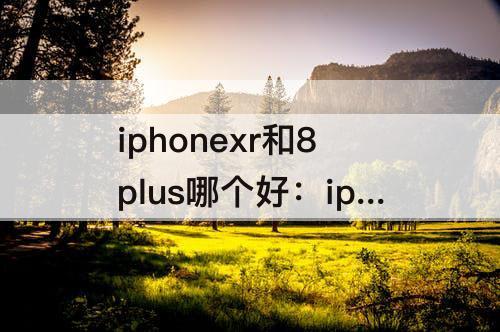 iphonexr和8plus哪个好：iphonexr和8plus哪个好?有什么区别?