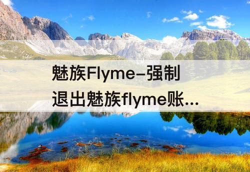 魅族Flyme-强制退出魅族flyme账号软件