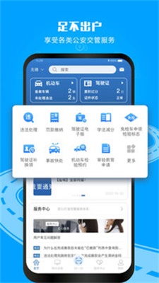 12123交管官网  v2.9.2图2