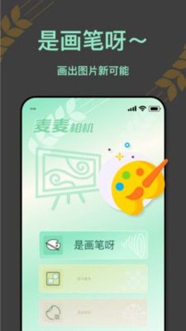 麦麦相机  v1.0.0.101图3