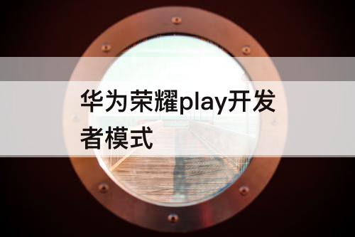 华为荣耀play开发者模式