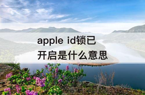 apple id锁已开启是什么意思