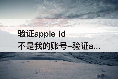 验证apple id不是我的账号-验证apple id不是我的账号怎么办