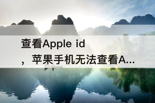 查看Apple id，苹果手机无法查看Apple ID