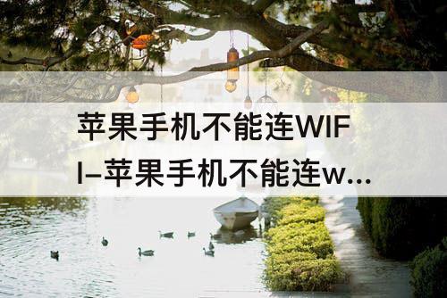 苹果手机不能连WIFI-苹果手机不能连wifi有汉字的吗