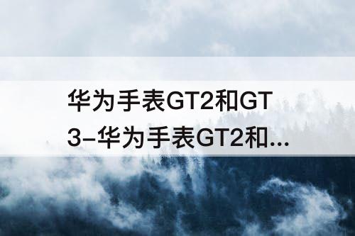 华为手表GT2和GT3-华为手表GT2和GT3的区别对比