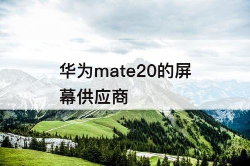 华为mate20的屏幕供应商