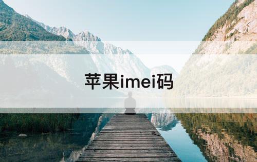 苹果imei码