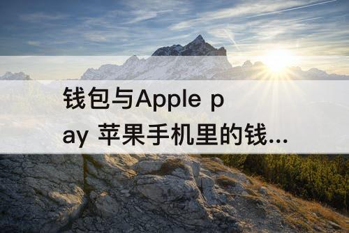 钱包与Apple pay 苹果手机里的钱包与apple pay