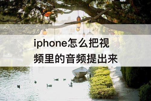 iphone怎么把视频里的音频提出来