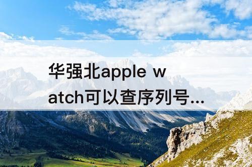 华强北apple watch可以查序列号吗