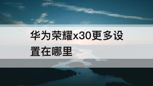 华为荣耀x30更多设置在哪里