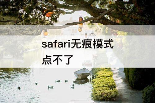 safari无痕模式点不了