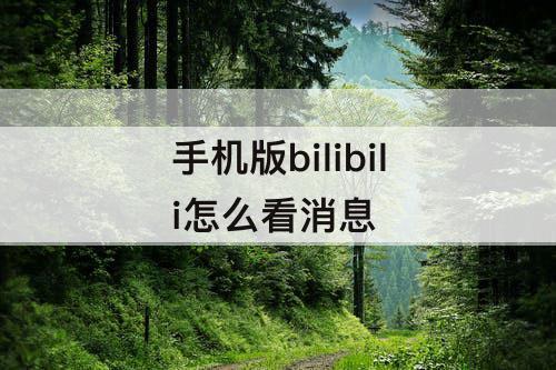 手机版bilibili怎么看消息