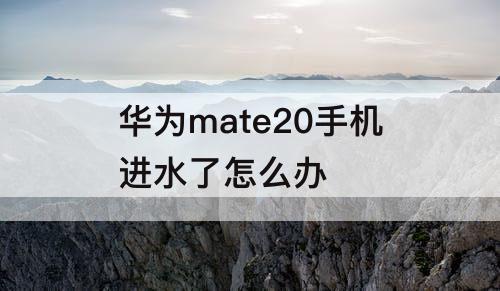 华为mate20手机进水了怎么办