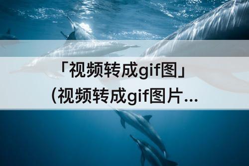 「视频转成gif图」(视频转成gif图片软件)