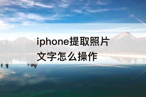 iphone提取照片文字怎么操作