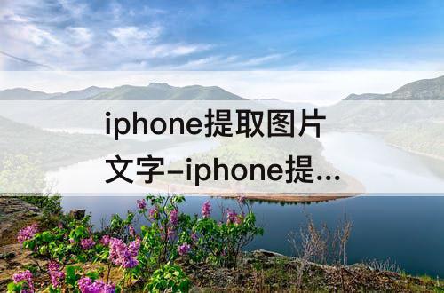 iphone提取图片文字-iphone提取图片文字s